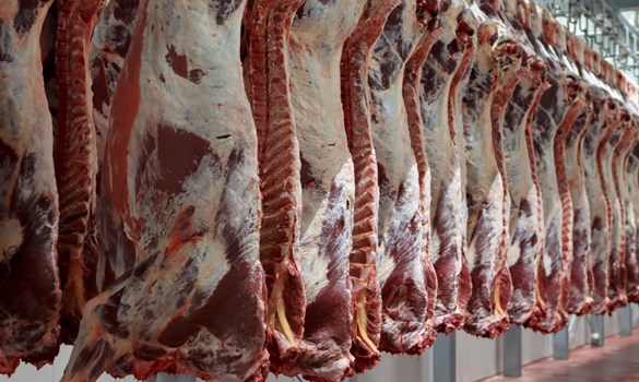 Meat on the hook in chiller